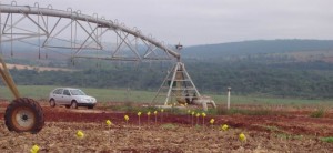 Planejamento do uso e ocupação do solo